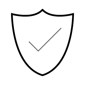 Checked Shield Icon
